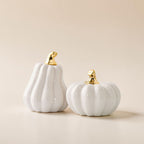 White Luxe Pumpkin